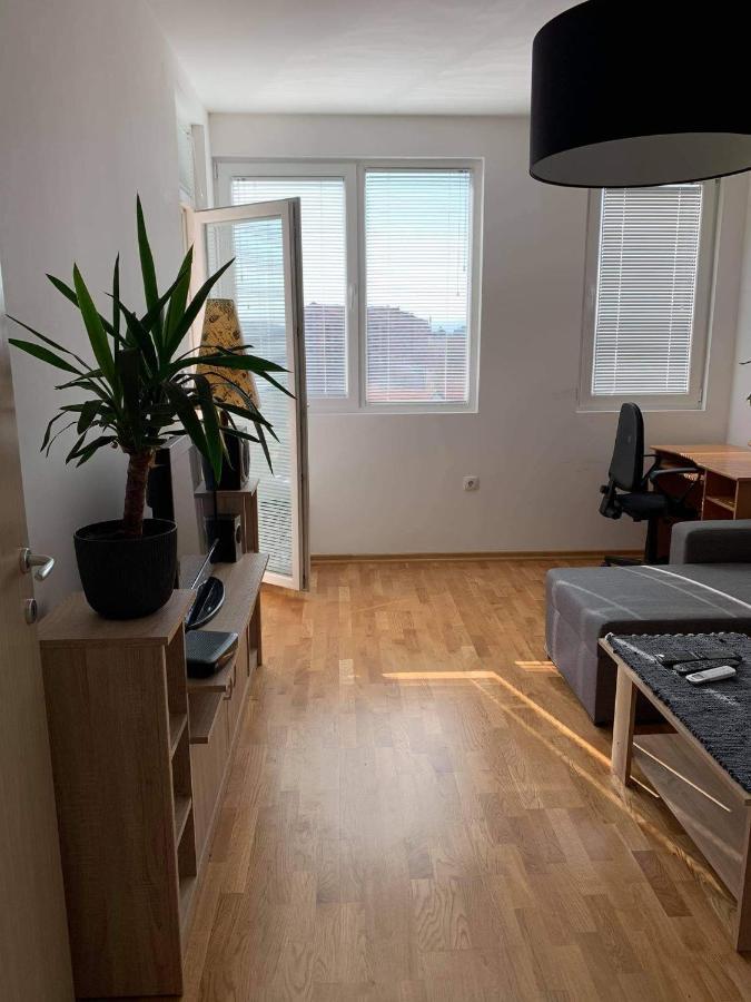 Apartman Aleksic Ni エクステリア 写真